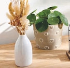 Composition fleurs séchées - Super U Composition fleurs séchées à 4,79 € dans le catalogue Super U