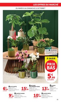 Promotion Bois D'allumage dans le prospectus Super U, valable du 06/10/2026 au 18/10/2026 Promo Bois D'allumage dans le catalogue Super U du moment à la page 15