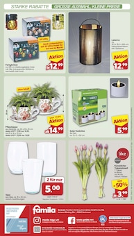 Pizzaofen Angebot im famila Nordwest Prospekt, gültig von 16.03.2026 bis 21.03.2026 Pizzaofen Angebot im aktuellen famila Nordwest Prospekt auf Seite 4