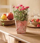 Rosier pot 13 cm dans un sac en promo chez Intermarché Rosier pot 13 cm dans un sac dans le catalogue Intermarché