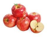Snack Äpfel im Angebot bei REWE in Gelsenkirchen Snack Äpfel Angebote von REWE Beste Wahl bei REWE Gelsenkirchen für 1,99 €