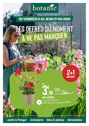 Offre Dipladenia dans le catalogue Botanic du moment à la page 1