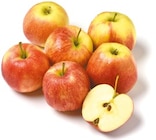 Jonagold bei Netto mit dem Scottie im Rostock Prospekt für 1,29 €