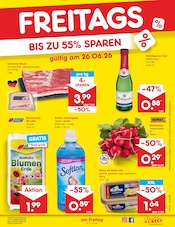Gartenerde im Netto Marken-Discount Prospekt in Wolfsburg Aktueller Netto Marken-Discount Prospekt mit Gartenerde, "Aktuelle Angebote", Seite 53