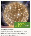 LED Kugel Sterne für 19,99 € bei Pflanzen Kölle im Angebot LED Kugel Sterne im aktuellen Pflanzen Kölle Prospekt