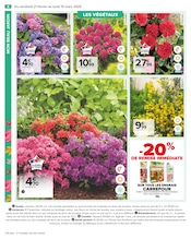 Hortensia Angebote im Prospekt "PROFITER ENFIN DE SON JARDIN" von Carrefour auf Seite 10