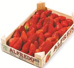 Erdbeeren Angebote bei Netto mit dem Scottie Neubrandenburg für 4,99 €