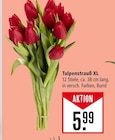 Tulpenstrauß XL Angebote bei Marktkauf Maintal für 5,99 €