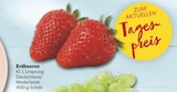 Erdbeeren Angebote bei combi Ahlen