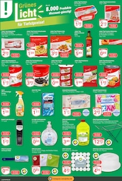 Aktueller GLOBUS Prospekt mit Wäscheständer, "Aktuelle Angebote", Seite 19