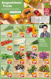 Paprika im REWE Prospekt in Rosenheim Aktueller REWE Prospekt mit Paprika, "Dein Markt", Seite 7