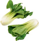 Pak Choi bei E center im Emsdetten Prospekt für 1,99 €