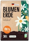 Blumenerde Angebote bei REWE Suhl für 2,99 €