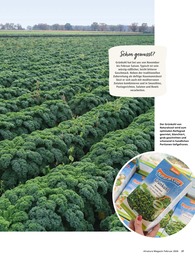 Kohl im Alnatura Prospekt "Alnatura Magazin" auf Seite 37