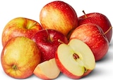 Penny - rote Äpfel Angebot im Prospekt rote Äpfel bei Penny im Prospekt "" für 1,79 €