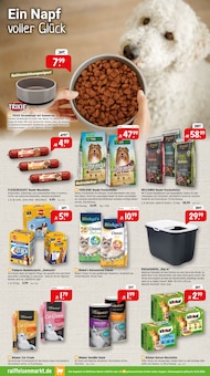 Katzenstreu im aktuellen Raiffeisenmarkt Prospekt (Münster) Katzenstreu im Raiffeisenmarkt Prospekt "Richtig durchstarten: Mit den richtigen Angeboten ins neue Jahr." mit 8 Seiten (Münster)