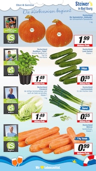 Pflanzen im aktuellen EDEKA Prospekt (Osnabrück) Pflanzen im EDEKA Prospekt "Aktuelle Angebote" mit 23 Seiten (Osnabrück)