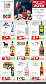 Jack Daniels im Getränkeland Prospekt in Neubrandenburg Aktueller Getränkeland Prospekt mit Jack Daniels, "Die Getränkekönner", Seite 9