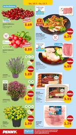 Schweinebraten im Penny Prospekt in Mainz Aktueller Penny Prospekt mit Schweinebraten, "Wer günstig will, muss Penny.", Seite 26