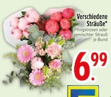 Aktuelles Pfingstrosen Angebot bei EDEKA in Augsburg ab 6,99 €