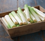 Promo Blanc de poireau à 1,99 € dans le catalogue Intermarché Super à Yssingeaux