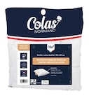 Oreiller coton - COLAS NORMAND - Carrefour à Menton Oreiller coton - COLAS NORMAND en promo chez Carrefour Menton à 6,99 €