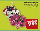 Aktuelle Pflanzen Angebote bei Marktkauf in Leipzig Aktuelles Petunienampel Angebot bei Marktkauf in Leipzig ab 7,99 €