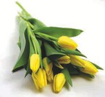 Bouquet de 9 tulipes de glace - U dans le catalogue Super U