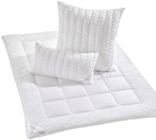 Aktuelles Kopfkissen ca. 40 x 80 cm Angebot bei XXXLutz in Gelsenkirchen ab 29,99 €