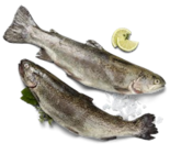 Regenbogenforelle für 1,19 € bei Kaufland im Angebot Regenbogenforelle im aktuellen Kaufland Prospekt