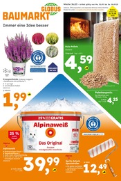 Globus-Baumarkt Prospekt für Homburg mit 17 Seiten Globus-Baumarkt Prospekt für Homburg: "Immer eine Idee besser", 17 Seiten, 31.08.2025 - 06.09.2025