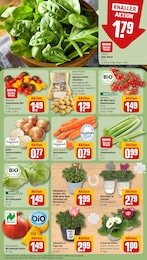 Spinat Angebot im aktuellen REWE Prospekt auf Seite 7