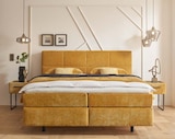 Aktuelles Polsterbett Angebot bei Möbel Martin in Ludwigshafen (Rhein) ab 2.899,00 €