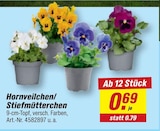 Hornveilchen/Stiefmütterchen im Angebot bei toom Baumarkt in Chemnitz Hornveilchen/Stiefmütterchen Angebote bei toom Baumarkt Chemnitz für 0,69 €