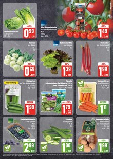 Bio Gemüse Angebot im aktuellen EDEKA Prospekt auf Seite 5
