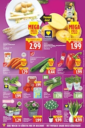 Pflanzen Angebot im aktuellen E center Prospekt auf Seite 3