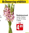 Gladiolenstrauß im Angebot bei E center in Ulm Gladiolenstrauß Angebote bei E center Ulm für 4,49 €