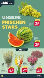 Faschingskostüme Angebot & Preis im aktuellen Netto mit dem Scottie Prospekt Faschingskostüme Angebot im aktuellen Netto mit dem Scottie Prospekt auf Seite 2