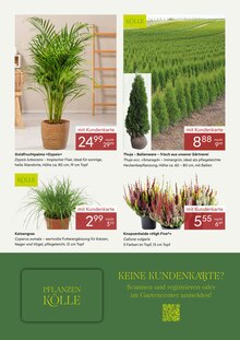 Zimmerpflanzen im aktuellen Pflanzen Kölle Prospekt (Nürnberg) Zimmerpflanzen im Pflanzen Kölle Prospekt "DIE BESTEN PREISE FÜR DEN GARTEN" mit 5 Seiten (Nürnberg)