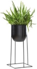 Aktuelle Blumentopf Angebote bei XXXLutz Möbelhäuser in Essen Aktuelles Pflanztopf Höhe ca. 40 cm Angebot bei XXXLutz Möbelhäuser in Essen ab 7,99 €