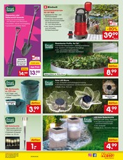 Steine im Netto Marken-Discount Prospekt in Rosenheim Aktueller Netto Marken-Discount Prospekt mit Steine, "Aktuelle Angebote", Seite 31