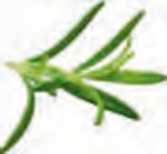 Lammfilet Angebote bei EDEKA Stade für 4,44 €