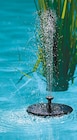 Solar-Springbrunnen von GARDEN DREAM im aktuellen Netto mit dem Scottie Prospekt für 11,99 €