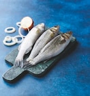 Super U La Perrière - Promo BAR D'AQUACULTURE Promo BAR D'AQUACULTURE à 9,00 € dans le catalogue Super U à La Perrière