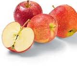 Äpfel rot im aktuellen Netto Marken-Discount Prospekt
