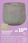 Aktuelles Pflanzgefäß „Montreal“ Angebot bei Pflanzen Kölle in Mainz ab 12,99 €