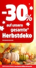 30% Rabatt bei Thomas Philipps im Angebot 30% Rabatt im aktuellen Thomas Philipps Prospekt