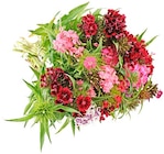Aktuelle Blumen Angebote bei REWE in Berlin Aktuelles Bartnelken Angebot bei REWE in Berlin ab 2,49 €