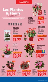 Jardinage Angebote im Prospekt "Moins Cher !" von Lidl auf Seite 35