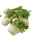 Bio-Fenchel von demeter im aktuellen tegut Prospekt für 1,49 €